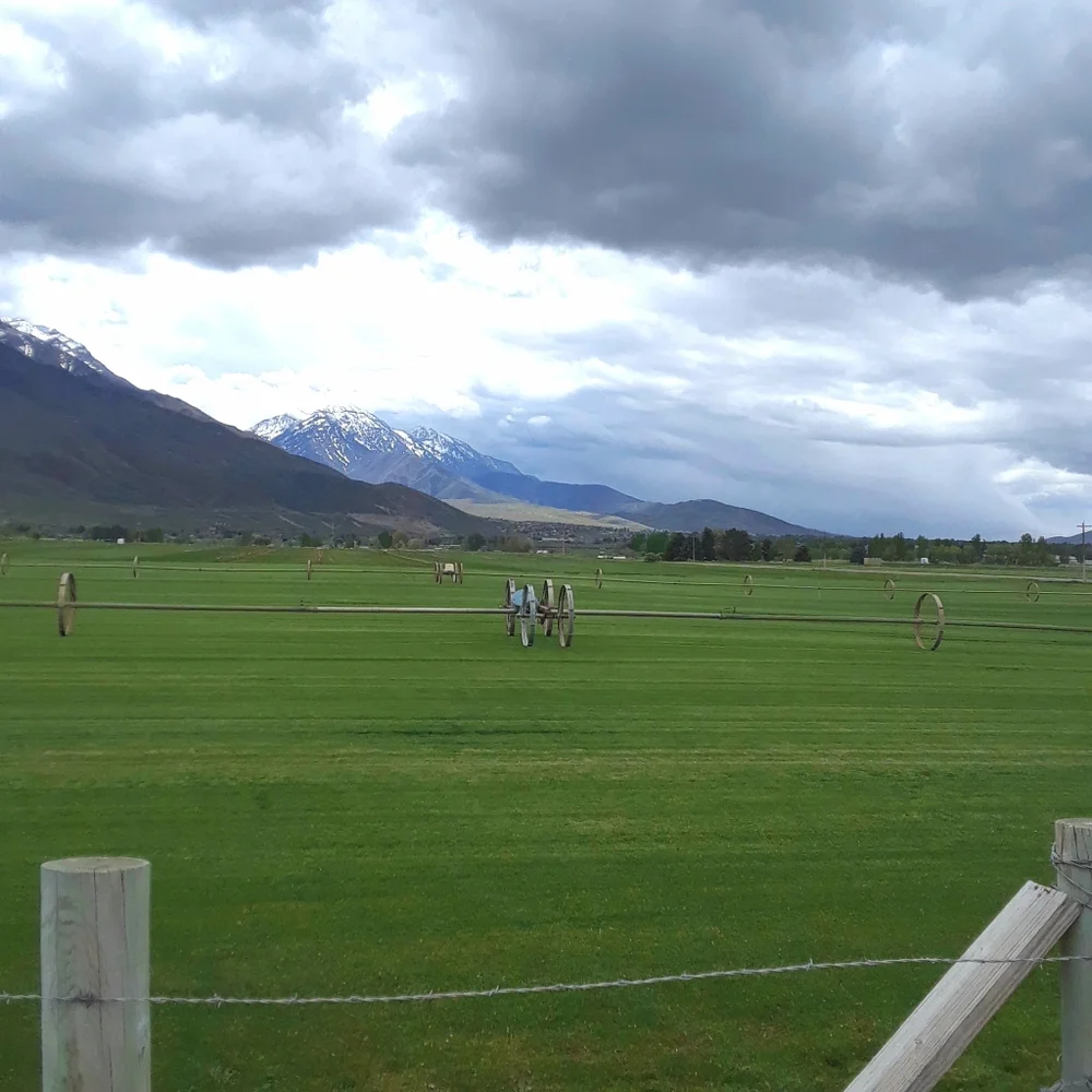 Hello - Picture 3 of 5